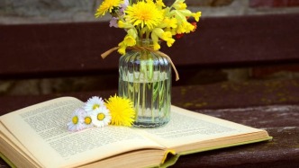 影片代理發(fā)行合同中的“代理”是代理嗎？