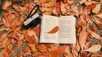 電影投資中，保底兼按比例分配的投資模式該如何定義？