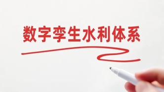 我国数字孪生水利体系框架基本形成