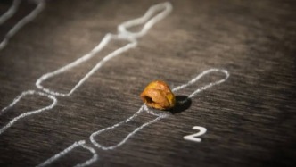 牙结石也用来考古了！成果还位列《科学》年度十大突破！| 科学世界