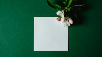 素材被“白嫖”转卖？原版权方解约后维权指南