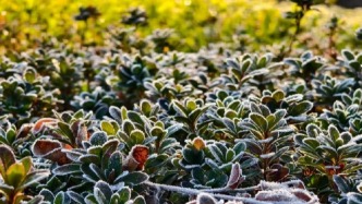 8-9日廣東維持晴燥天氣 早晚寒冷