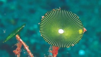 早安廣州｜我國成功研制高通量單細(xì)胞質(zhì)譜儀