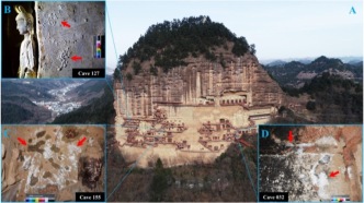 蘭州大學(xué)聯(lián)合敦煌研究院在古代壁畫微生物研究方面取得新進展