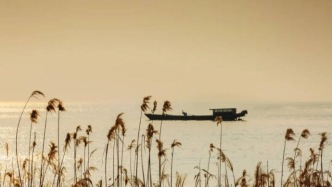 冬日相城，像極了愛情