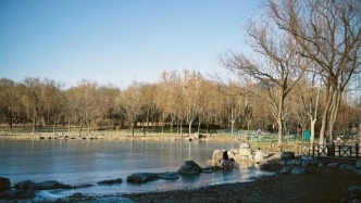 不想宅家冬眠！亦莊冬日限定美景，治愈所有不開心