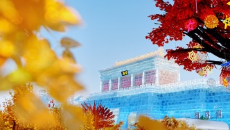 快看！從哈爾濱的冰雕里，挖出了整個真·泰安！