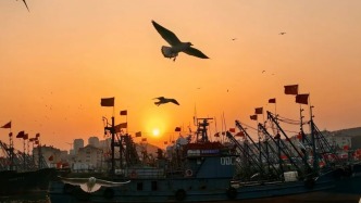 在海上看海鷗？果然沒讓人失望！