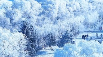 南方博主被吉林雾凇狠狠拿捏了，雾凇就是大自然给吉林的馈赠