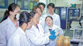 【我们兰大人】高原菌群成为产业“活水”：张春江团队点亮大健康新路径