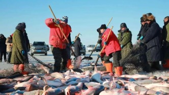 年年有“魚”！查干湖冬捕的背后藏著一個(gè)故事