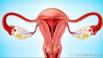 卵巢“提前退休”信號已出現(xiàn)？你注意到了嗎？