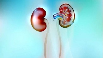 腎氣虧虛易衰老？中醫(yī)膏方助力補(bǔ)益腎氣