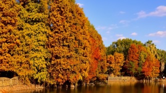 未來(lái)3天廣東大部氣溫逐漸回升