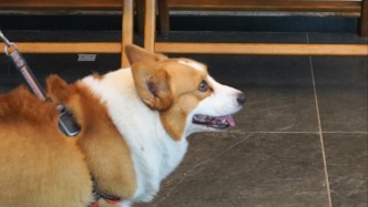 乌鲁木齐的必去清单，藏在大家的“再去一次”里