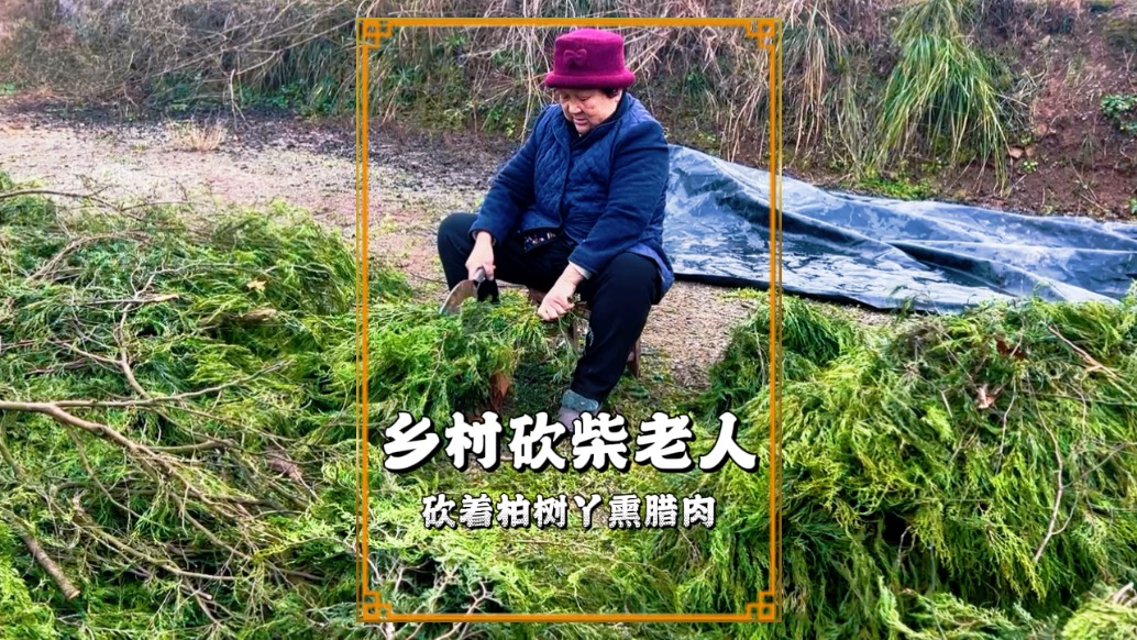 自驾游重庆，路遇8旬吹柴老人，挥刀砍落柏树丫，满是乡间烟火气