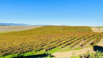 光伏、電池出口退稅新政出臺(tái)，對(duì)行業(yè)影響有多大？