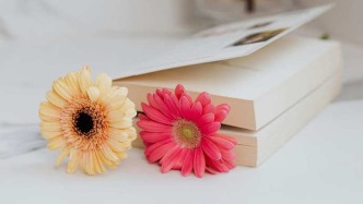 合作創(chuàng)作中投資款包括固定收益和風(fēng)投兩部分，該如何退還？