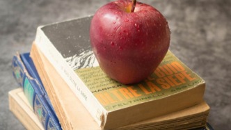 什么是版權(quán)出質(zhì)？