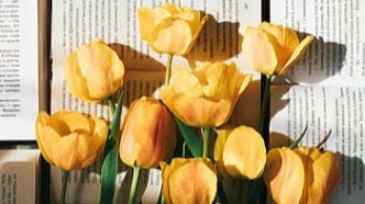 合作创作合同中，约定单方负责“开发收益”是否应作限制性理解？