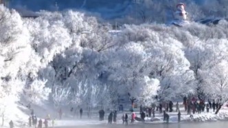 被新华社的吉林雾凇“惊”到了！每一帧都是大自然的水墨丹青