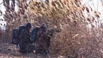 四季流轉(zhuǎn)間，邂逅衡湖飛鳥(niǎo)秘境——《四季衡湖競(jìng)自由》