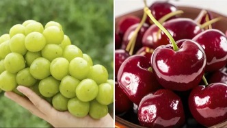 “葡萄中的愛馬仕”敗落了，“車厘子自由”還會遠嗎