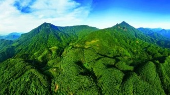 赓续“岳山造林”光荣传统，肇庆林业交出亮眼成绩单！