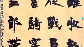 “书路自省，兼修不辍”——芦琪