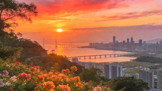 追光日记｜深圳8大绝美日落点位观赏&拍摄攻略