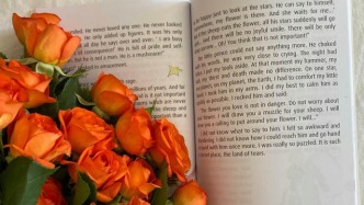 在微信股票交流群中推介影片項目，能否認定欺詐？（下）