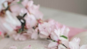 在微信股票交流群中推介影片项目，能否认定为欺诈？（上） 