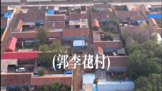 航拍美丽乡村，德州市陵城区临齐街道郭李花村美丽风景