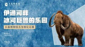 万年前“顶流”回归！速来围观~