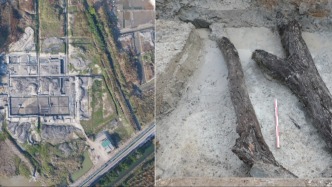 發(fā)現(xiàn)中國(guó)最早楊梅古樹(shù)，6項(xiàng)考古領(lǐng)域重大成果發(fā)布