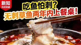 吃鱼不卡嗓，爽快吃鱼的时代即将到来了！