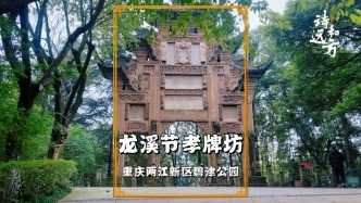 重慶龍溪節(jié)孝牌坊，雕刻精美的石質(zhì)仿木結(jié)構(gòu)，建于清光緒年間