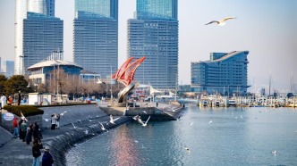 風(fēng)轉(zhuǎn)鷗至 邂逅日照的冬季浪漫