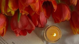 合同當中的不可抗力條款或成為隱含的約定解除條款