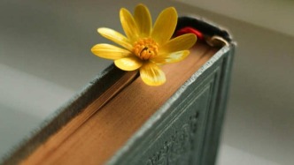 第三方出具的说明是否足以证明相关主体享有影片收益权及转让权？