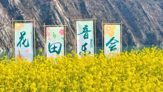 隴上春先至，花田“樂”未央！這場(chǎng)油菜花田音樂會(huì)奏響春日浪漫