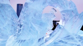 龍鳳呈祥！“祥瑞加持”，這波打卡不能落下