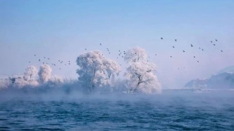 來集安玩雪，這才是冬天的正確打開方式~