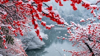 雪落人间，雪景真的很美，能治愈人的心灵