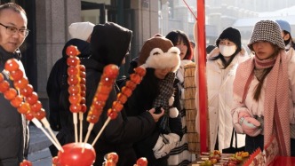 这是我们的节：首届长春冰糖葫芦节拉开序幕