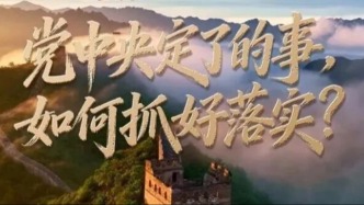 党中央定了的事，如何抓好落实？