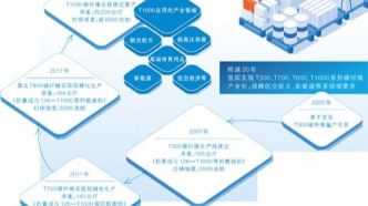 “碳纖維”突圍（“從0到1、從1到100”的故事）