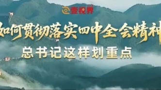 如何贯彻落实四中全会精神？总书记这样划重点