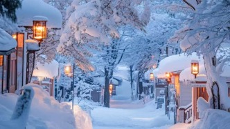 美景摄影，乡村雪景，清新自然，如同一幅淡雅的水墨画