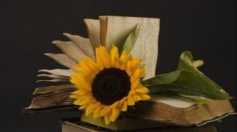 影片开机拍摄时间能否晚于计划上映时间？